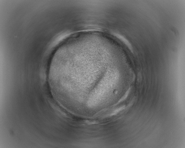 X0000114011407200910161722