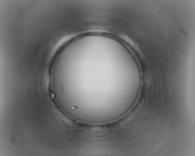 X0000114011408200910161722