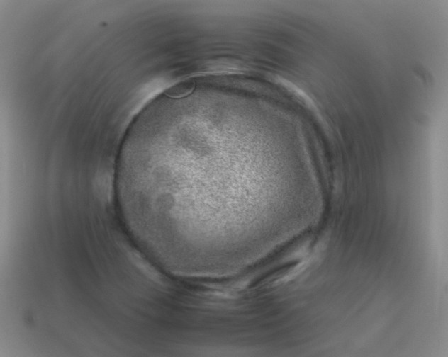 X0000114011409200910161722