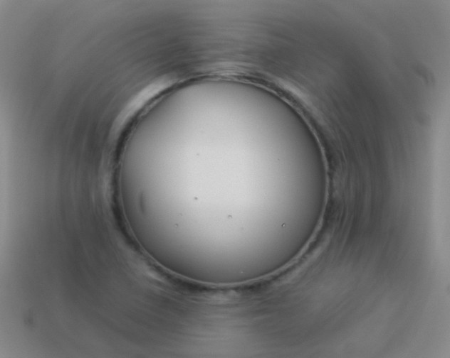 X0000114011410200910161722