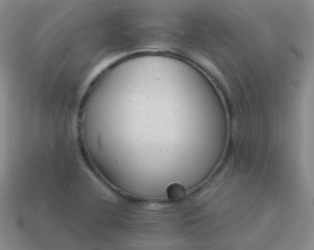 X0000114011412200910161722