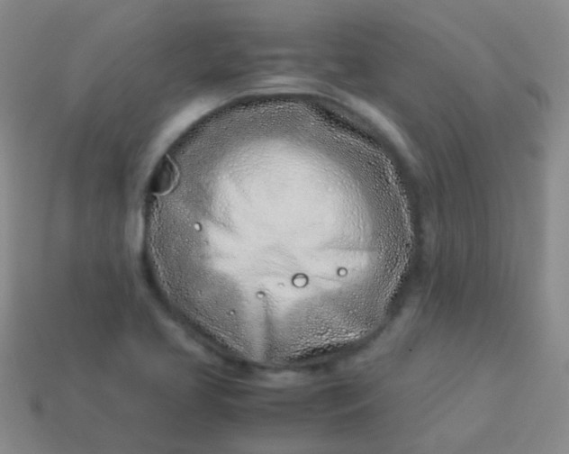 X0000114011413200910161722