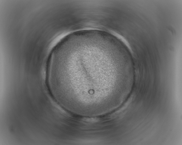 X0000114011415200910161722