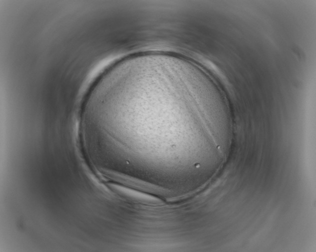 X0000114011416200910161722