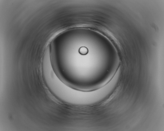 X0000114011417200910161722