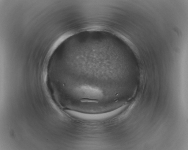 X0000114011418200910161722