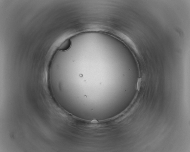 X0000114011419200910161722