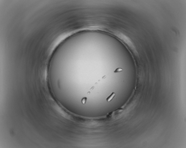 X0000114011420200910161722