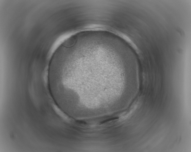 X0000114011421200910161722