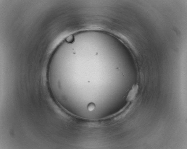 X0000114011422200910161722