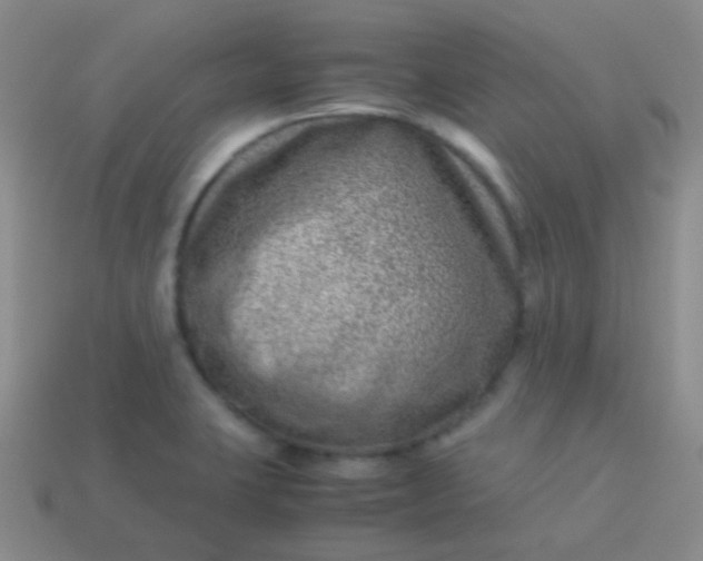 X0000114011423200910161722