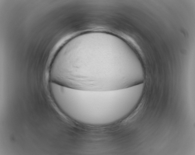 X0000114011424200910161722