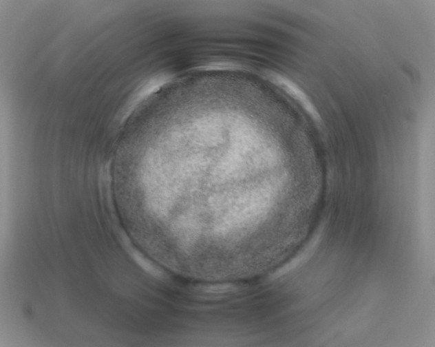 X0000114011425200910161722