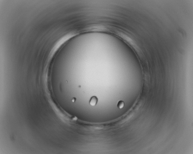 X0000114011426200910161722