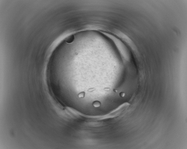 X0000114011427200910161722