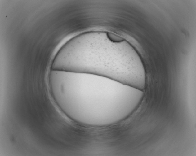 X0000114011428200910161722