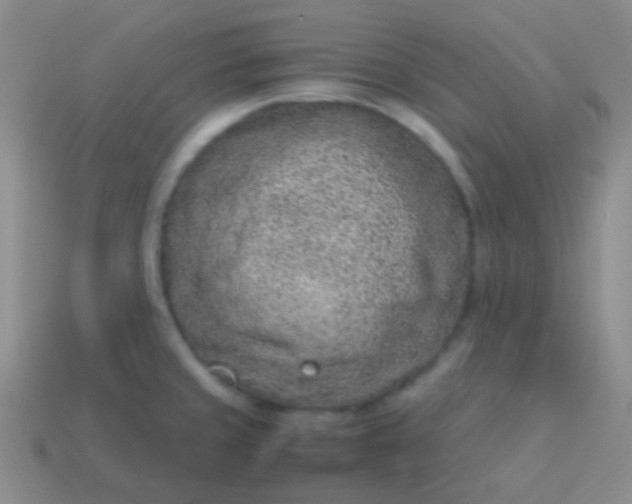 X0000114011429200910161722