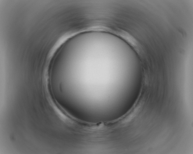 X0000114011430200910161722