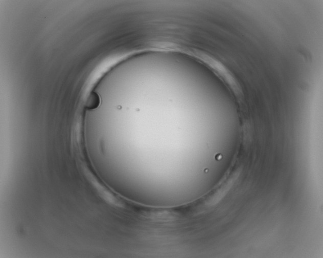 X0000114011432200910161722