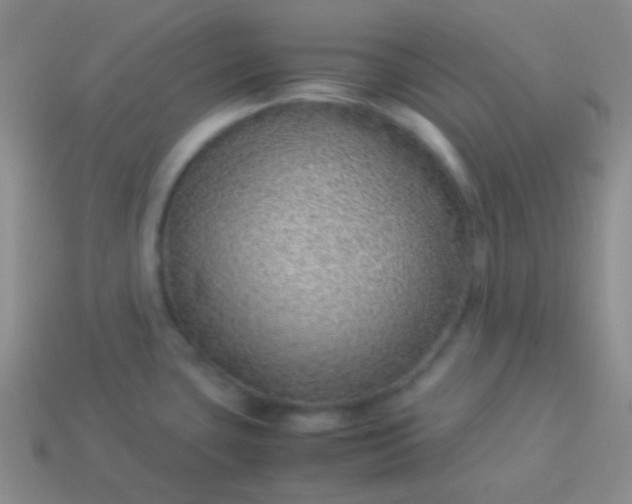 X0000114011435200910161722