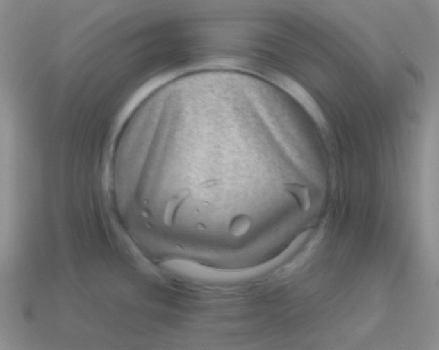 X0000114011436200910161722