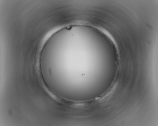 X0000114011437200910161722