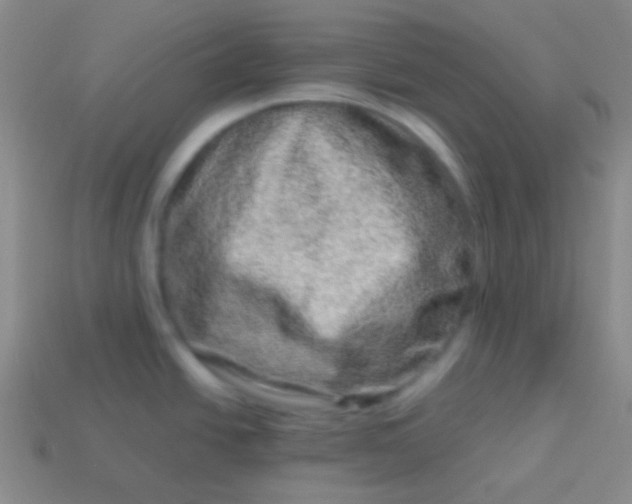 X0000114011438200910161722