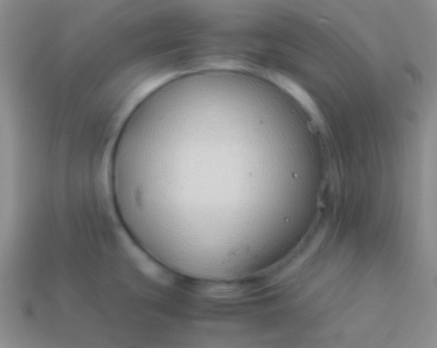 X0000114011439200910161722