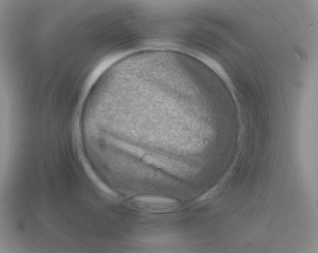 X0000114011440200910161722