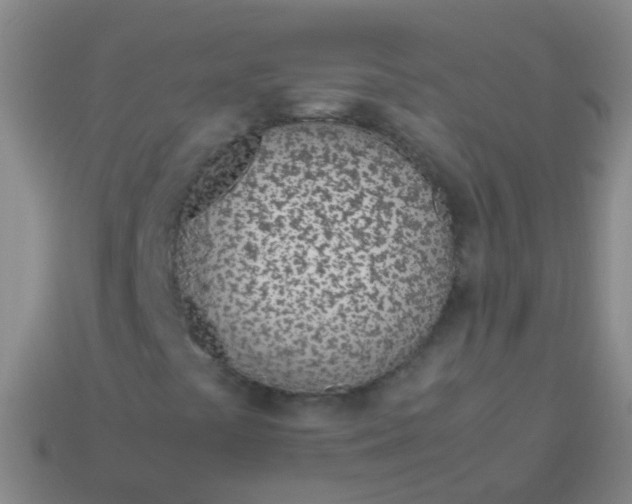 X0000114011441200910161721