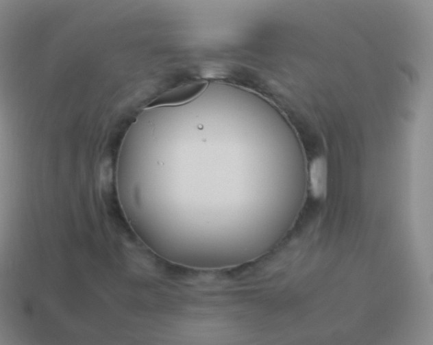 X0000114011443200910161721