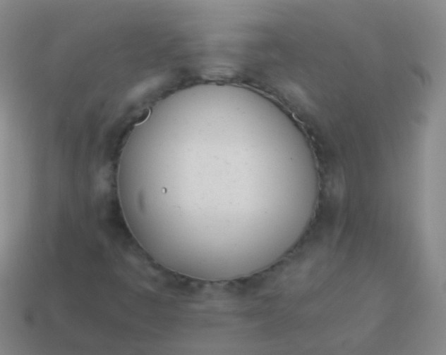 X0000114011445200910161721