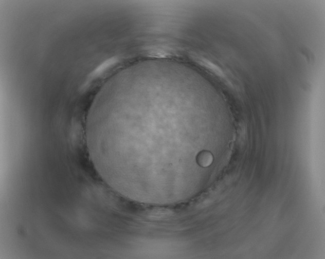 X0000114011446200910161721