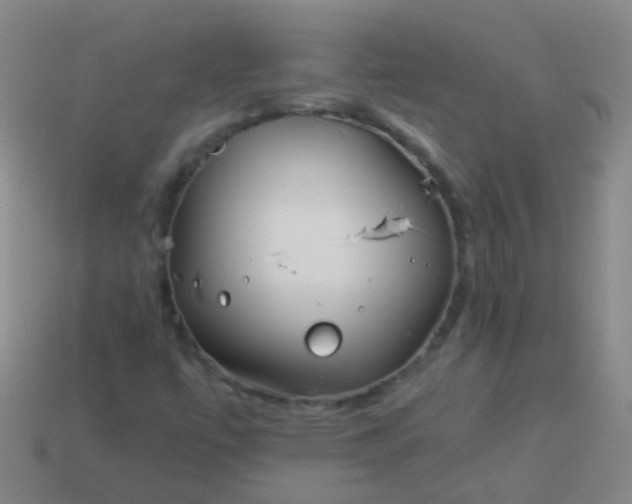 X0000114011447200910161721