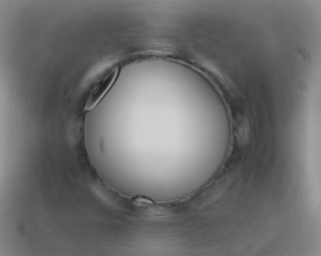 X0000114011448200910161721