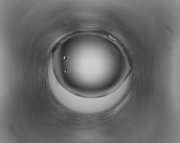 X0000114011449200910161721