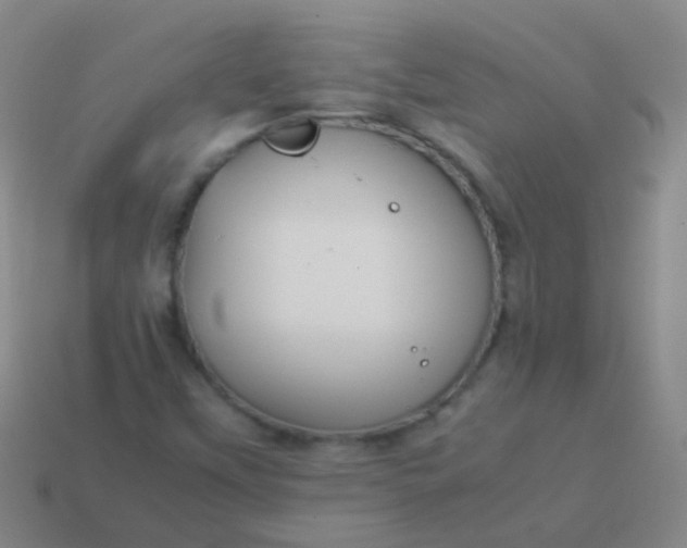 X0000114011451200910161721