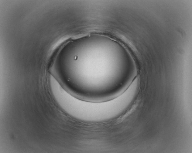 X0000114011453200910161721