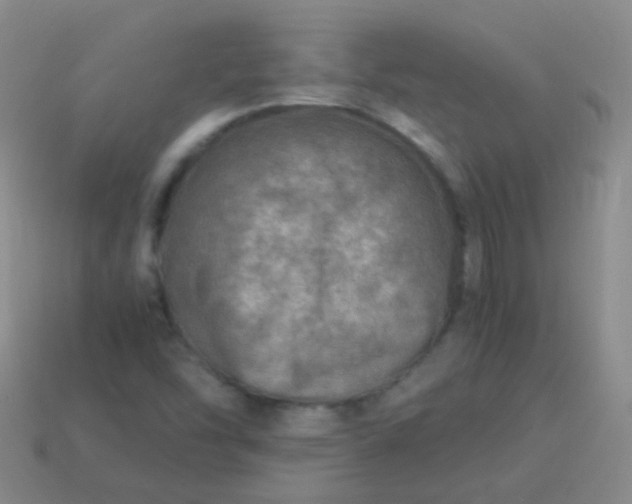 X0000114011454200910161721