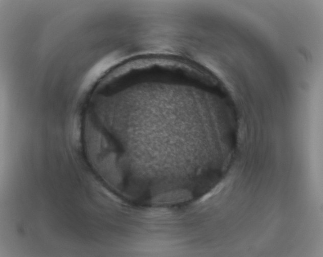 X0000114011455200910161721