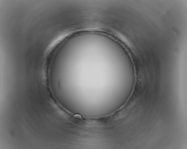 X0000114011456200910161721