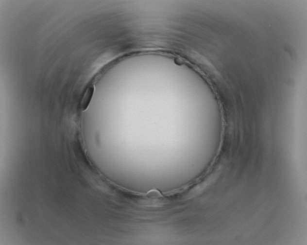 X0000114011457200910161721