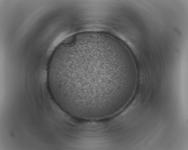 X0000114011459200910161721