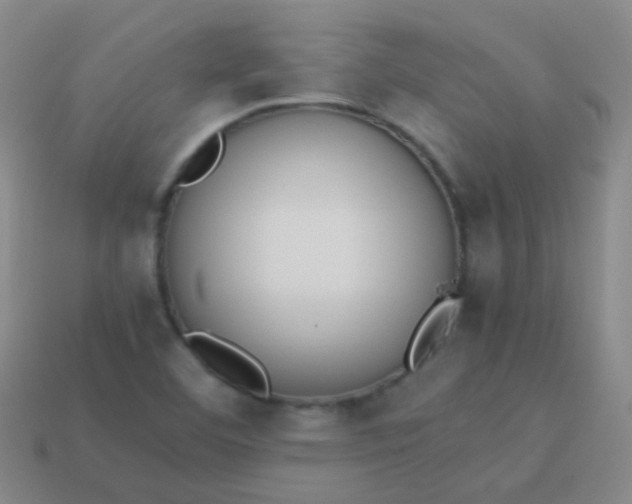 X0000114011460200910161721