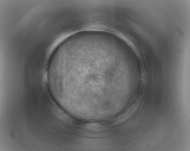 X0000114011462200910161721
