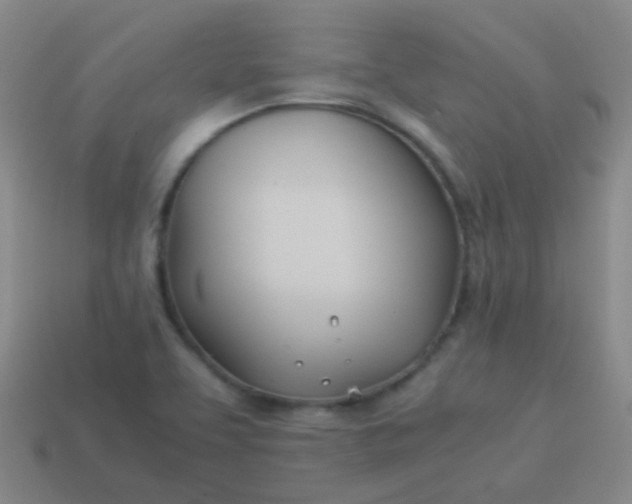 X0000114011463200910161721