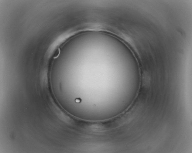 X0000114011464200910161721