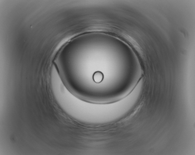 X0000114011465200910161721