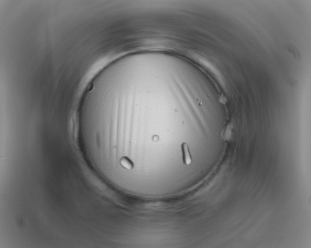 X0000114011467200910161721