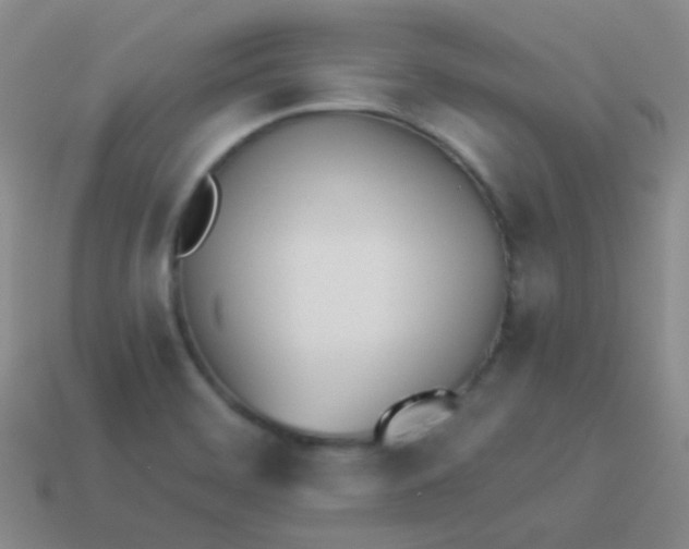 X0000114011468200910161721